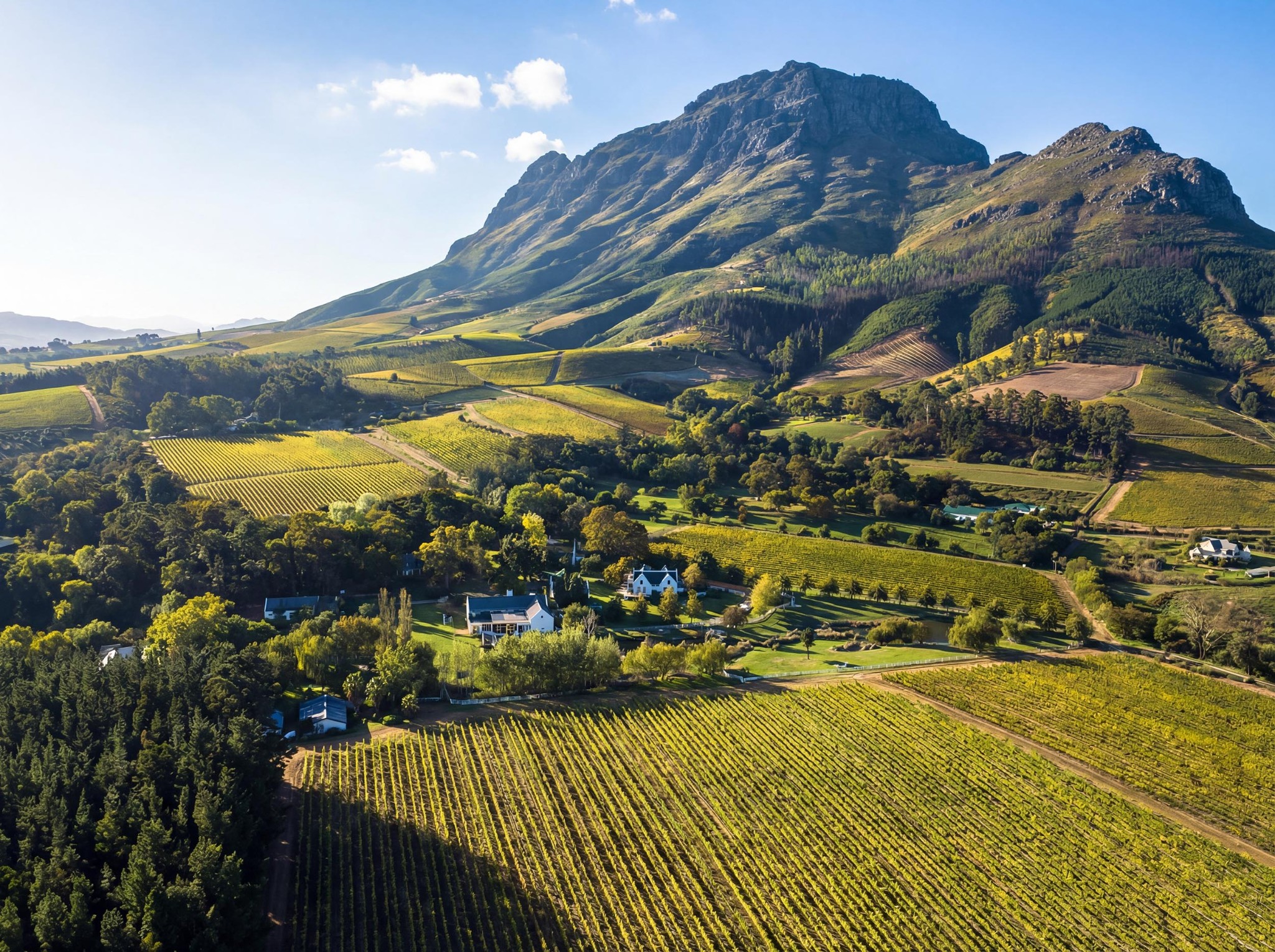 Wine & Culinary Experiences